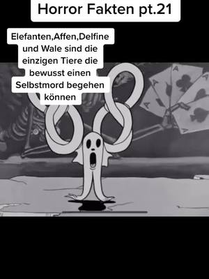 A post by @horror__fakten on TikTok caption: Horror Fakten Pt.21 #viral #foryou #fürdich #trend #fyp #foryoupage #fypツ #tiktok #fy #horror #facts