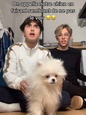 A post by @happy.shaark on TikTok caption: on arrive pas à savoir si il était paniqué ou si il s’en fichait