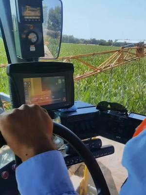 A post by @rjavicg on TikTok caption: Aspersión de insecticida a maíz con Hagie! 🌽👌🏼#maquinariaagricola  #agronomo  #agro #enelcampo  #Guanajuato #campomexicano   #maiz