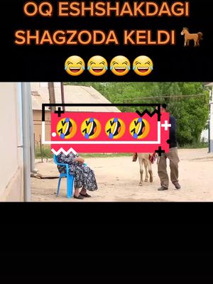 A post by @shohrux.24 on TikTok caption: ##recommendations #ozonzondom #funny #😀😀😀