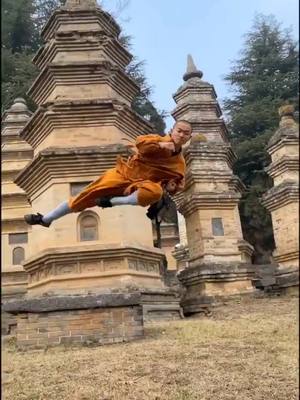 A post by @sfs494 on TikTok caption: #kungfu #foryou #ItsOurHome