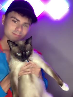 A post by @irobertthomas on TikTok caption: Sassy kitty part 2 😼 #catsoftiktok #cat #fypシ #foryoupage