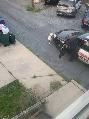 A post by @therealnatef on TikTok caption: He just tryna talk! 😂 #fyp #foryoupage #pitbull #cop #lebanonpa