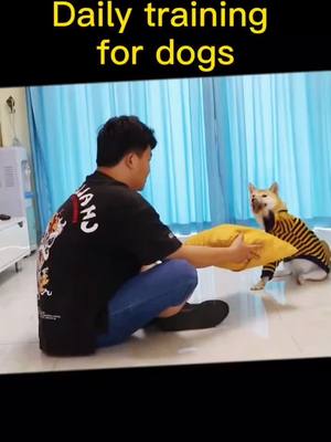 A post by @leetong12345 on TikTok caption: #dog #pet #funngpets #foryoupage #funny😲😲😲❤️❤️❤️