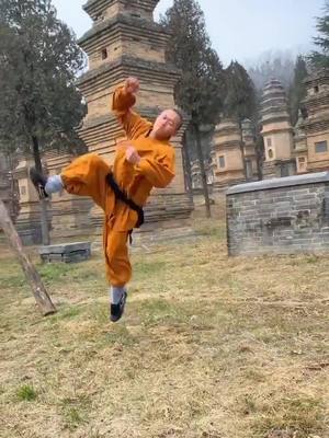 A post by @sfs494 on TikTok caption: #kungfu #foryou #