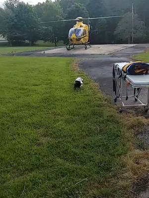 A post by @responder2112 on TikTok caption: LZ for 2 birds, single MVA #firefightertiktok #foryoupage  @responder2113  @travisburley6