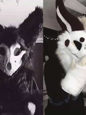 A post by @lorias_castle on TikTok caption: #duet with @kovahusky Welp xD Tem as a dark side now 😅🤣 This was so fun to do 😂 #fursuit #fnaf #fyp