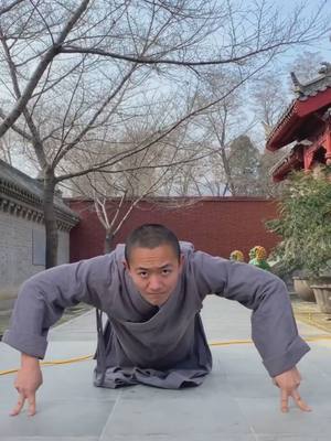 A post by @sfs494 on TikTok caption: #kungfu #foryou #ItsOurHome #