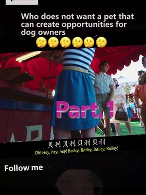 A post by @likemovies6 on TikTok caption: Who doesn’t want a dog that can create opportunities for the owner #tiktok #movie #fyp #foryou