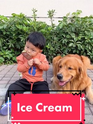 A post by @petdoooooog on TikTok caption: #cutedog #puppy #foryou