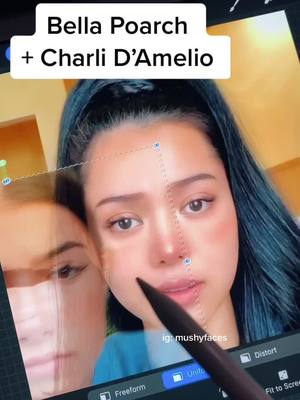 A post by @mushyfaces on TikTok caption: How do we like this mix? 🤔 #bellapoarch #charlidamelio #billieeilish