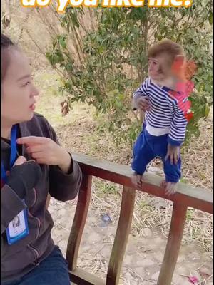 A post by @hermakopinue82 on TikTok caption: #foryou #monkey #animal #cute #tiktok