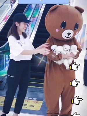 A post by @chongwu2020 on TikTok caption: Do you love me?#fouyou #pet #see #cute #dog