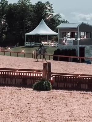 A post by @horses_xs on TikTok caption: ☺️|| 𝙒𝙝𝙖𝙩 𝙞𝙨 𝙩𝙝𝙚 𝙣𝙖𝙢𝙚 𝙤𝙛 𝙮𝙤𝙪𝙧 𝙝𝙤𝙧𝙨𝙚?☺️#fy #horses #foruyoupage #showjumping