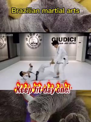 A post by @heshiai999 on TikTok caption: #CapCut Brazilian jiu-jitsu#TeamUSATryout #funny #防身術