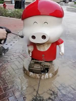 A post by @wonderlifeassistant on TikTok caption: Clean piggy #trend #viral #foryoupage