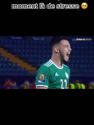 A post by @algerienne.dz213 on TikTok caption: Répondre à @marwanakhouad c pas pareil mais voilà partie 2 ?#algerie #dzpower #maghreb #tunisie #fypシ #maroc #can2019 #mahrez #souvenir #leszhomme