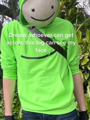 A post by @gogyslittleduck on TikTok caption: NAJSBS oh George... @dreamwastakenwastaken @georgenotfound #greenscreenvideo #dreamssister #breathnotfound #dreamwastakenwastaken #dsmp