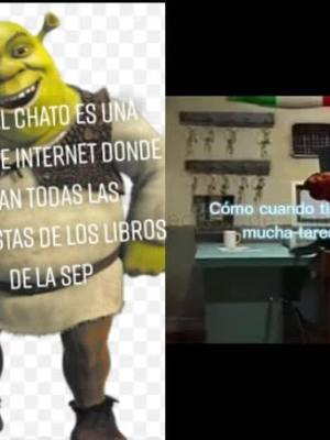 A post by @sherk_te_lo_explica on TikTok caption: #dúo con @giyu_tomioka_mexicano #sherk_te_lo_explica #parati #fyp #viral