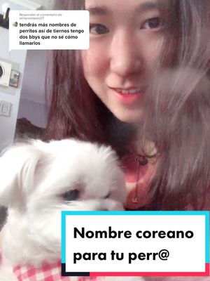 A post by @amarcorea on TikTok caption: Responder a @sarayvazquez27 recomendaciones de nombre para th perro/perra!!! H es hembra ;) #coreano #coreana #coreanos #corea #perro #perra #parati