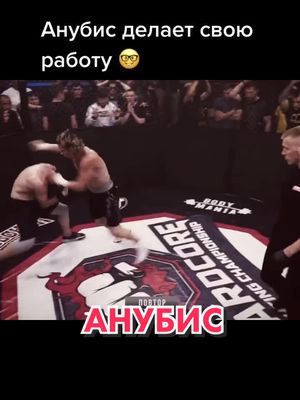 A post by @vasiliy_vezuchiy on TikTok