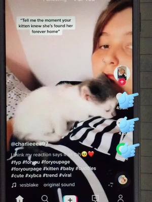 A post by @jk45fgy on TikTok caption: Oh my god🙈#kitten #cuddles #cute #trend #viral #fypシ