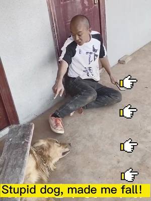 A post by @pet1s4 on TikTok caption: Who can help me? #dogs #foryou #petlover #tiktokdogs