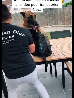 A post by @lekxandre.cha on TikTok caption: Vous voulez voir la suite et comprendre son idée ? 😂 y’a un indice à la fin !  #pourtoi #dogfunnyvideo