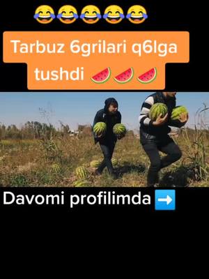 A post by @guli_tv on TikTok