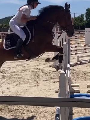 A post by @butterflyjump on TikTok caption: Un week-end de concours avec nous 😍 ( am 1/élite & jeunes chevaux ) . Vous avez déjà repris ?!😘 #chevaux #equitation #concours #horses #jumping #cso