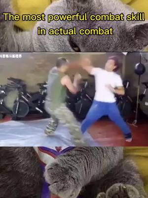 A post by @heshiai999 on TikTok caption: #CapCut The most powerful combat skill in actual combat#DADMOVES #fu #防身術