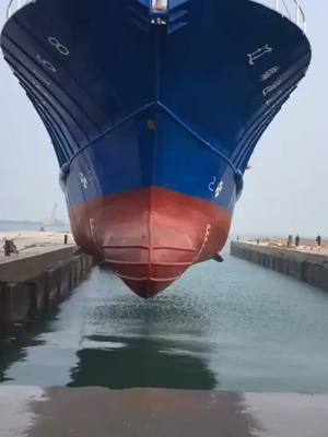 A post by @sea.foods on TikTok caption: ship