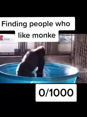 A post by @monke_.fanpage_ on TikTok caption: Follow if you like monke🐒 #🦍 #monke #🐒 #gorilla #monkey #monkee