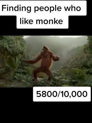 A post by @monke_.fanpage_ on TikTok caption: follow if you like monke #meandmy #monke #monkee #monkey #🐒 #meandmymonke