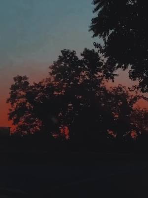 A post by @hereareonlypositivevibes on TikTok caption: pretty sunset... thank you guys for everything!! <3 #foryou #sunset #fypシ