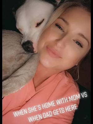 A post by @carleyb601 on TikTok caption: Totally different dog #fyp #pitbullsoftiktok #stella #thatsjustmybabydog