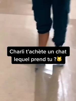 A post by @chrxl_dunkinn on TikTok caption: #devinelapersonne So ?💗 TYSM POUR 12K OMG !!!!😭😭 #fyp #xyzbca #cat #foryoupage #pourtoi #pourtoii #foryou