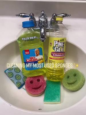 A post by @cleaningmamai on TikTok caption: Clean my scrub daddy sponges ✨🍋☺️ #fyp #productoverload #productdump #asmrcleaning #cleaningtiktok #cleaningtok #mrclean #pineglo #scrubdaddy