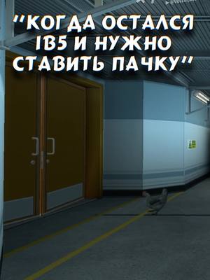 A post by @leetmay on TikTok caption: #ксго #кс #го #ксгоприколы #1в5 #csgo #go #cs #csgorofls #fyp #реки