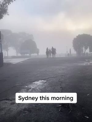 A post by @gouravbanwala9 on TikTok caption: Very fogggyyy this morning.......#australia #sydney #fypシ #india #harayanvi #punjabi