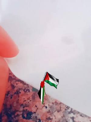 A post by @mariyam_bint_islam on TikTok caption: #🇵🇸🇵🇸فلسطين🌹ابو #😭🤲☪️🕋 #👑🇵🇰🤝🇹🇷😘🇵🇸🇦🇿🇦🇪🇸🇾 #ethopian_tik_tok free palestin 🇵🇸 فلسطين 🌹👑🇪🇹