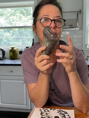 A post by @caroonlife1 on TikTok caption: I found a megaladon tooth...and many other cool and interesting sharks teeth!  #sharkstooth  #collections #megalodon #fossil #foryoupage #fyp #beach