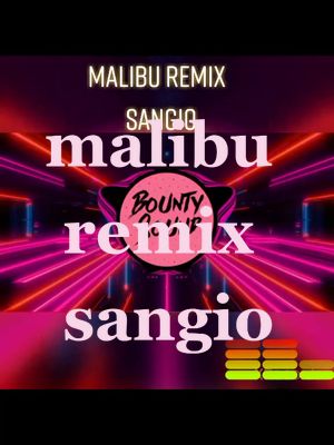 A post by @_cincypug_ on TikTok caption: #remixmalibusangio #malibu #discoremix #sangiomalibu #likesangio #perte #radio @sangiov @amiciufficiale