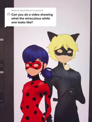 A post by @swavyco on TikTok caption: Reply to @riley.feldman for all of my miraculous lovers out there #miraculous #miraculousladybug #catnoir #ladybug #marinette #fyp #SmallBusiness