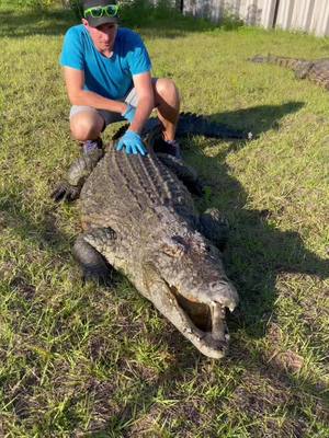 A post by @primitivepredator on TikTok caption: We take world croc day pretty serious around here ! #croc #crocodile #cute #reptile #reptiles #animal #animals #wildlife #sactuary #pet #nature