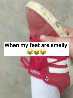 A post by @captaindog77 on TikTok caption: When my feet are smelly 😂#dog #puppy #pet #fypシ