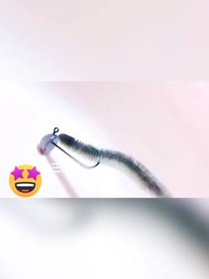 A post by @valeriaes50 on TikTok caption: Have you ever used this bait?#lure #lurebait #fishing #fishsticks #fishskilt