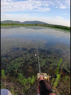 A post by @crandynee on TikTok caption: #fishing #foryou #tiktokindia #foryoupage