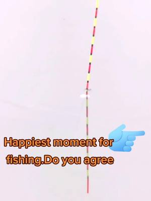 A post by @valeriaes50 on TikTok caption: Happiest moment for fishing.Do you agree? your comments please #fishing #fishcatch #fisherman #fishskill