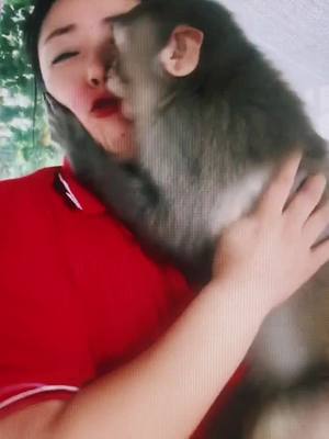 A post by @user5739123524987 on TikTok caption: A monkey who wants to put on lipstick 💄 #monkey #pet #animals #lipstick #CompleteMyLook